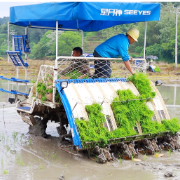 汝城县：插秧机穿梭田间 奏响春耕“进行曲”