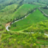 宜章县：春染茶山采摘忙 茶香四溢促增收