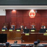 临武法院：以灯诱鸟、以竿击鸟  三男子非法狩猎被判刑