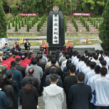 临武县开展“清明祭英烈”文明实践主题活动