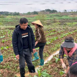 退役军人陈锋的乡村振兴新“战场”