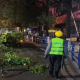 “荧光绿”点亮老街夜色 ！北湖园林夜间错峰作业筑牢出行安全防线