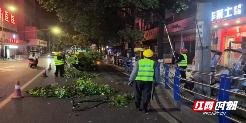 “荧光绿”点亮老街夜色 ！北湖园林夜间错峰作业筑牢出行安全防线