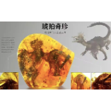 洪荒龙影遇龙韵 矿物宝石话郴州