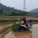 宜章县五岭镇：抢抓农时忙插秧 机械化绘就春耕好“丰”景
