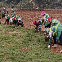 汝城县：耒水河畔绿意浓