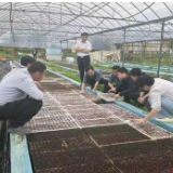汝城县：专家送技到田间 助力汝城辣椒产业提质增效
