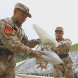 桂阳县:开展防汛演练 筑牢汛期“安全防线”