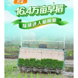 抢抓农时忙春耕 宜章县16.4 万亩早稻陆续进入插秧期