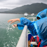 资兴市举行布田村革命烈士纪念活动