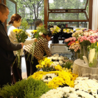 汝城县:清明时节鲜花俏 文明祭扫新风尚