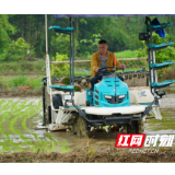 宜章县:早稻插秧正当时 机械化助力忙春耕