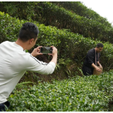 宜章县清明假期接待游客5.92万人次