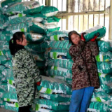 宜章县：免费发放11万余公斤大豆玉米种子助力粮食生产