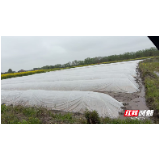 安仁县承坪乡:民兵助农服务队 助力春耕“加速度”