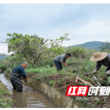 宜章县浒口村：清淤疏浚保春灌 干群合力助春耕