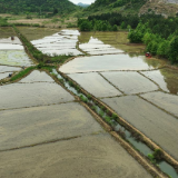 临武县：“优机优补”加贴息 农户购机添底气