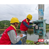 国网桂阳县供电公司电力护航 “虾”跃满塘