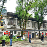 资兴市唐洞街道：修剪树枝解民忧