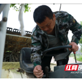 退役军人邝飞进：流转沃土守初心 深耕乡野护粮仓