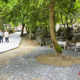 桂阳红豆杉保护区：社区共管共建 生态惠民暖民心