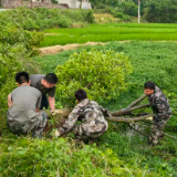 安仁县渡口乡：消除弯道“盲区”  守护百姓出行