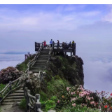 宜章莽山：高山杜鹃漫山盛放 游人登高乐享春光