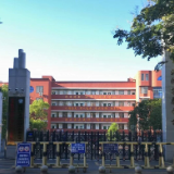 北湖实验学校：以体育为笔，绘就“体教融合”新图景