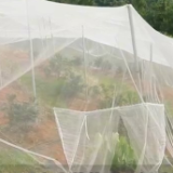 宜章县：推广物理防虫技术 赋能脐橙绿色种植