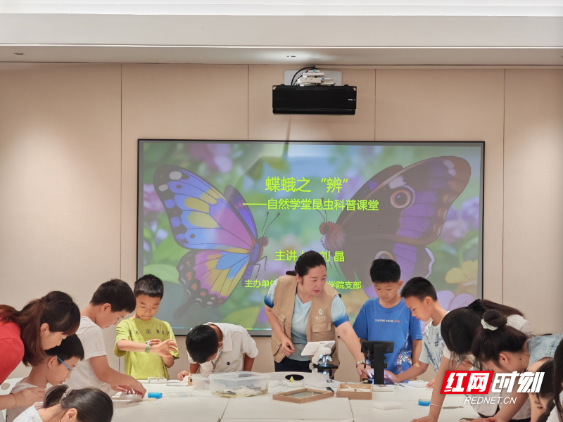 辨蝶蛾识自然 学科学探奥秘