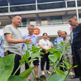 资兴市高牌村：开展党群服务 打造“幸福港湾”