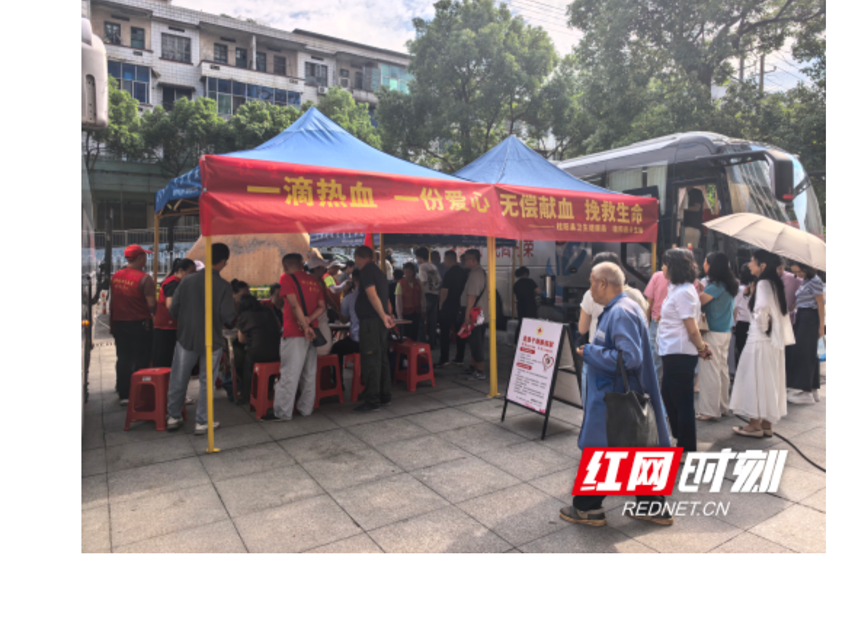 桂阳县启动2026年“6·14世界献血者日”无偿献血系列活动