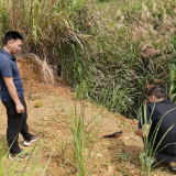 守护生态精灵 汝城县土桥镇成功救助红翅凤头鹃