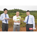 农行北湖支行:“惠农e贷”助力乡村振兴