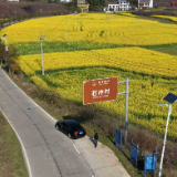 安仁县:爱路护路村催开满路文明花