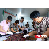 临武县:乌梅丰收季 线上“引流”冷链“锁鲜”