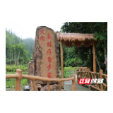 凉润深山 药养寿乡 桂东解锁避暑康养新体验