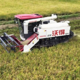 临武县:早稻收割正当时