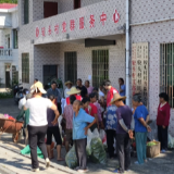 流动供销车开到村口 永兴山区农户家门口“土特产”变现