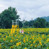 汝城县:人居环境焕新颜 美丽乡村入画来