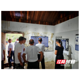 永兴县高亭司镇：五村党员“串门”庆七一 红色教育共话担当