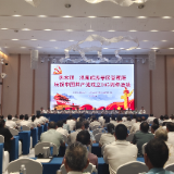 汝城县:温泉小镇连片强组织 凝心聚力促振兴