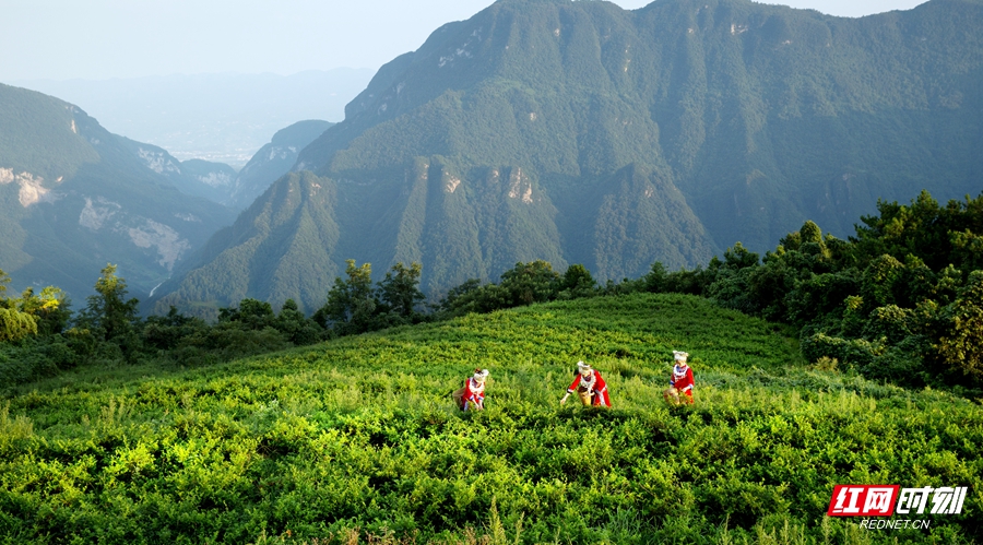 e7814eab29cee5abddedaf54546ecc20_3d61e1ec65c343ebbeea0b2eba0b504d.jpg e7814eab29cee5abddedaf54546ecc20_3d61e1ec65c343ebbeea0b2eba0b504d.jpg