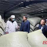 张家界:看普惠金融如何“浇灌”一片叶子的振兴之路