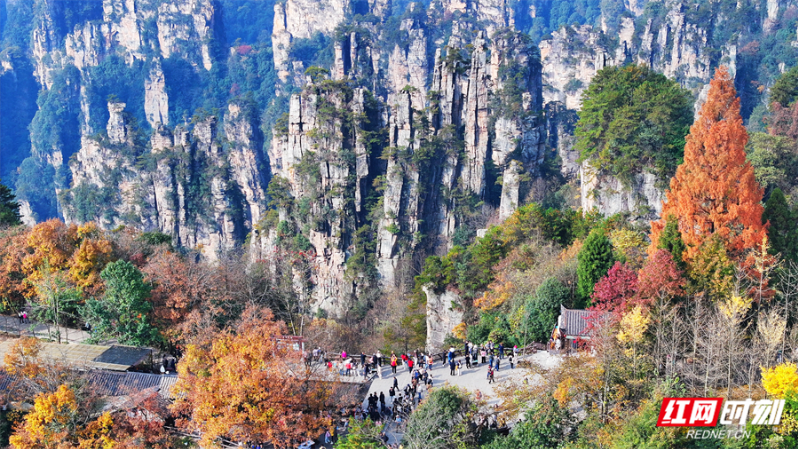 三千铁军守峰林 实干担当暖新春——张家界国家森林公园全员在岗护航春节旅游旺季