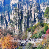 三千铁军守峰林 实干担当暖新春——张家界国家森林公园全员在岗护航春节旅游旺季