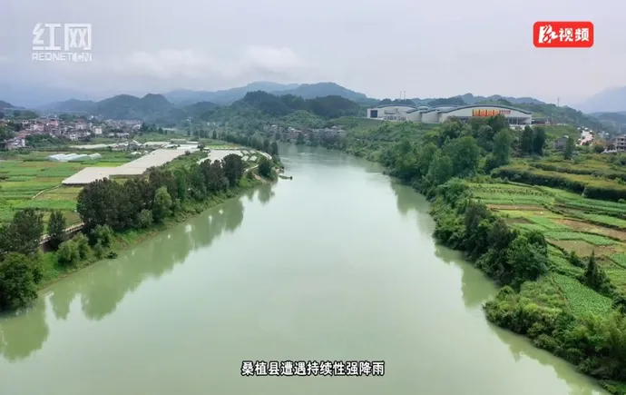 “一个都不能少！”风雨中，桑植县全力迎战汛情守护群众安全