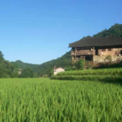 慈利县岩泊渡镇失马村:构建四维服务矩阵 激活“圩心失马”红色阵地