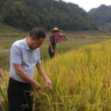 【讲述：我们的奋斗故事】带着贫困户蜕变