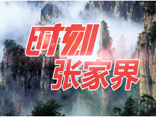 【权威发布】张家界市公安局强制隔离戒毒所四级警长杨华接受审查调查